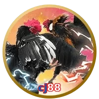 cj88